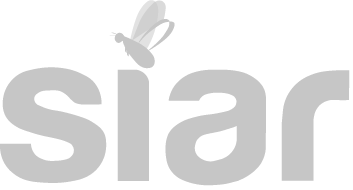 Siar